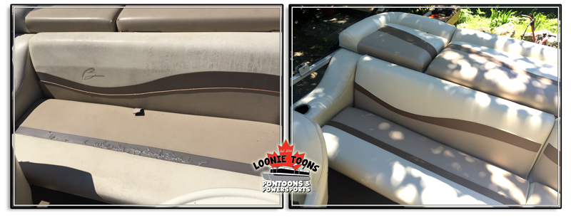 Loonie Toons Pontoons And Powersports Pontoon Boat